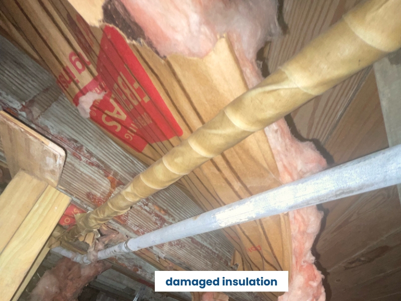 Damaged crawl space insulation, contributing to mold growth and a wet crawl space problem in Gainesville, FL.