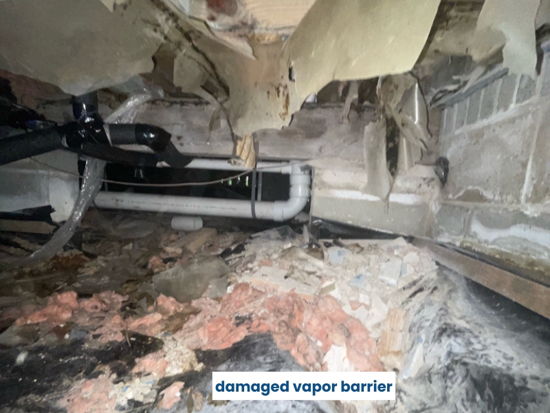Torn and damaged crawl space vapor barrier contributing to a wet crawl space problem in St Johns, FL.