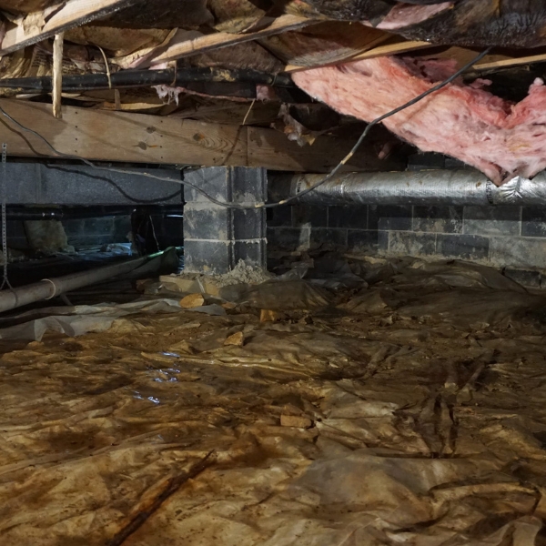 A damp, musty crawl space without proper waterproofing in St. Augustine, FL, leading to moisture damage and mold issues.