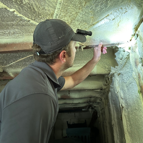 The LUX team crawl space mold removal expert in Jacksonville, FL, inspecting molds, showing expertise in mold remediation.