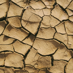 Dried, cracked soil, a cause of foundation settlement in Crescent City, FL.