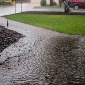A puddle of rainwater in the front yard due to high groundwater, a common cause of wet crawl space issues in Ocala, FL.