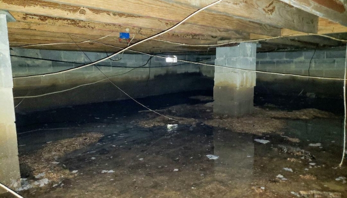 Musty Smell in Crawl Space