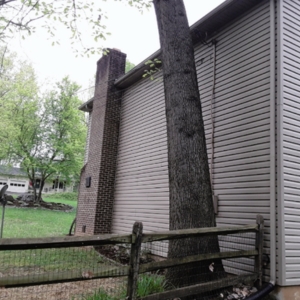 A big tree near the foundation where roots are disturbing soil stability, causing the mortar cracks problem in Palatka, FL.