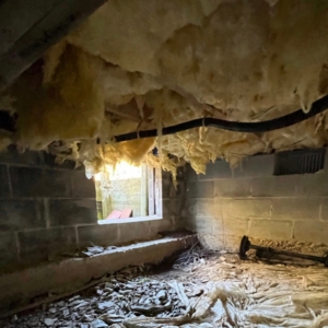 Open crawl space allowing in humid outside air, a major cause of musty smell in crawl space in Middleburg, FL.