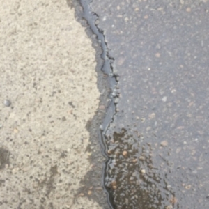 Water intrusion, concrete crack causing moisture damage, and chipping concrete in Ocala, FL.