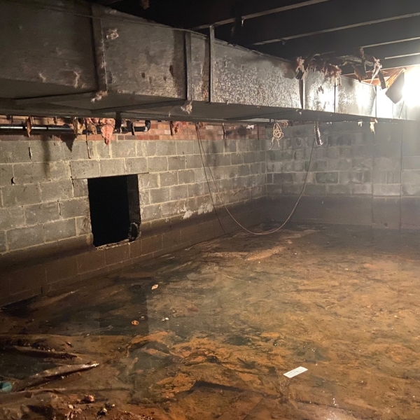 Wet crawl space with signs of mold and insulation damage, needing wet crawl space repair in Northern Florida.