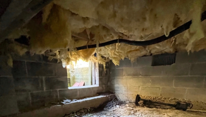 Wet Crawl Space Insulation