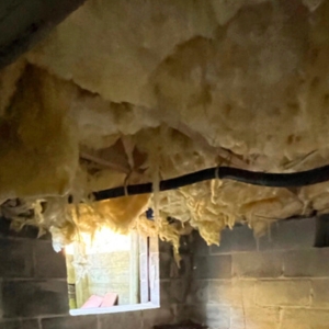 Aging fiberglass insulation deteriorating due to humidity exposure causes wet crawl space insulation in Lake City, FL.