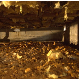 An unsealed dirt floor letting in moisture and pests through the exposed soil causes of crawl space infestation in Palatka, FL.