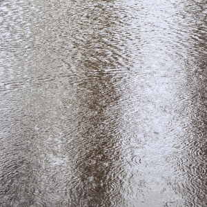 Pooled rainwater around sidewalk, causing subgrade erosion, a common cause of sidewalk cracks in Middleburg, FL.