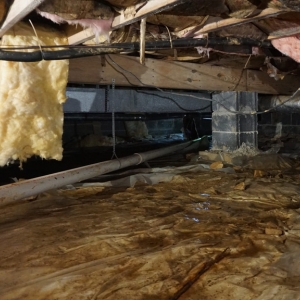 Damp crawl space from groundwater seepage after heavy rains causes wet crawl space insulation in Middleburg, FL.