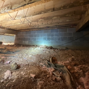 Lack of encapsulation, dirt crawl space floor exposed to moisture damage, causing wet crawl space insulation in Gainesville, FL.