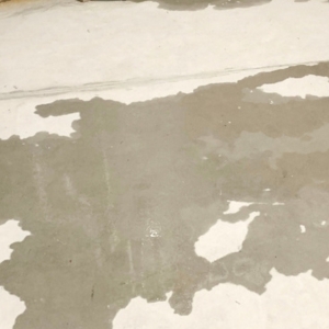 Moisture intrusion in the foundation wall due to Florida’s high humidity, causing a cracked garage floor in Ocala, FL.