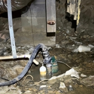 Pipe drip causing moisture buildup in crawl space, a cause of crawl space mold in Gainesville, FL.