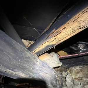 Decayed wooden crawl space joists, showing structural weakening from moisture, cause unlevel floor problems in Ocala, FL.