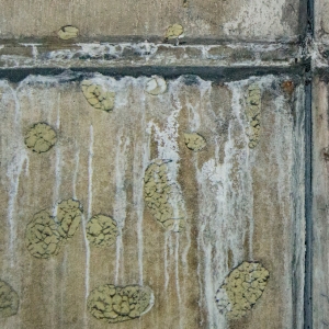 Old concrete seawall with cracks and corroded rebar showing material fatigue causes the seawall to lean in Ocala, FL.