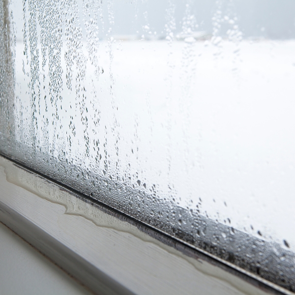 Condensation on a window as humid air meets cool surfaces, showing the need for condensation in basement solutions in Jacksonville, FL.