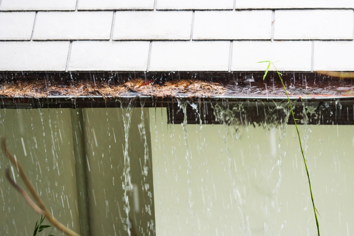 Rainwater overflowing from clogged gutters and spilling near a home’s foundation, causing poor foundation drainage in St Johns, FL.