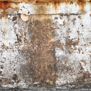 Water stains through seawall cracks, causing standing water behind the seawall in Ocala, FL.