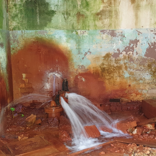 Plumbing leaks flooding the crawl space; need crawl space leak-damage repair in Jacksonville, FL.