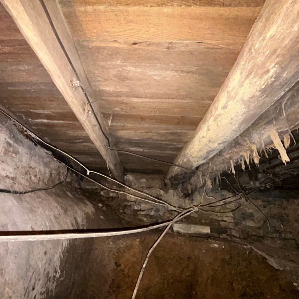 Moisture-damaged and deteriorating crawl space floor joists, needing crawl space repair in Jacksonville, FL.