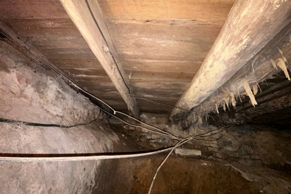 Damaged Floor Joists