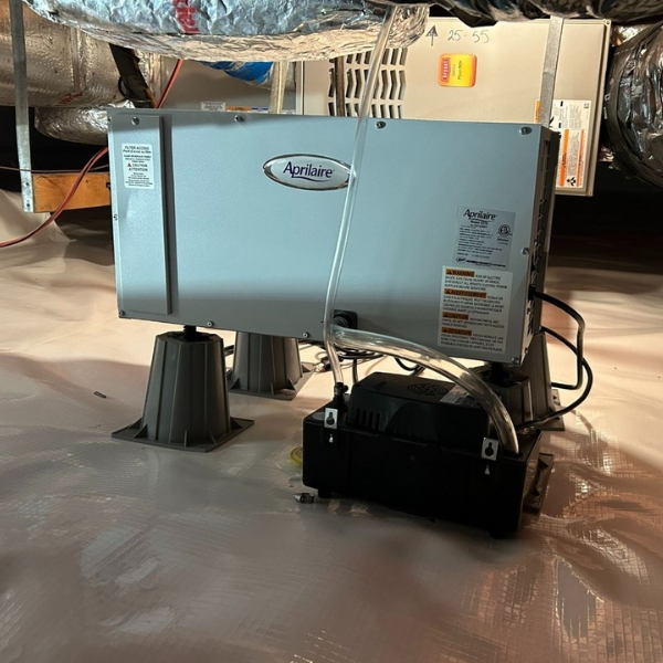 High-capacity crawl space dehumidifier reducing moisture to help protect repaired floor joists in Palatka, FL.