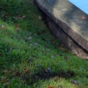 Loose and eroded soil behind a seawall base, causing of tidal seawall washout problem in Ocala, FL.