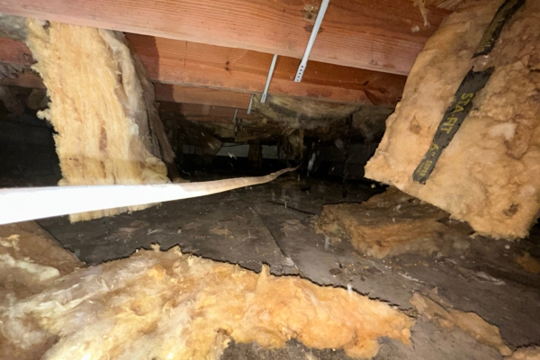Insulation Falling in Crawl Space