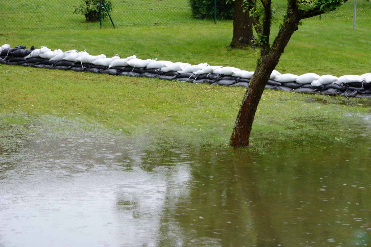 Flooded flat yard holding standing rainwater, showing how level ground causes a poor drainage system in Ocala, FL.