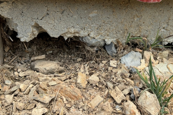 Foundation Erosion