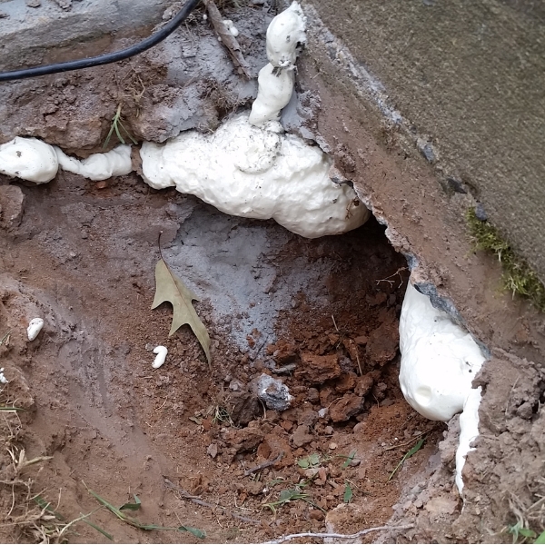 Installed expanding foam to fill voids and stabilize weak soil beneath a foundation, a soil settlement solution in Crescent City, FL.