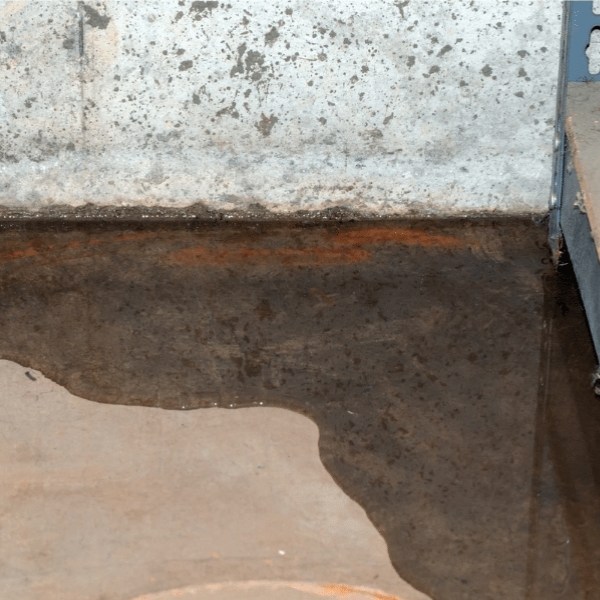 Moisture pushing through a damp basement wall from saturated soil, showing groundwater intrusion needing repair in Jacksonville, FL.