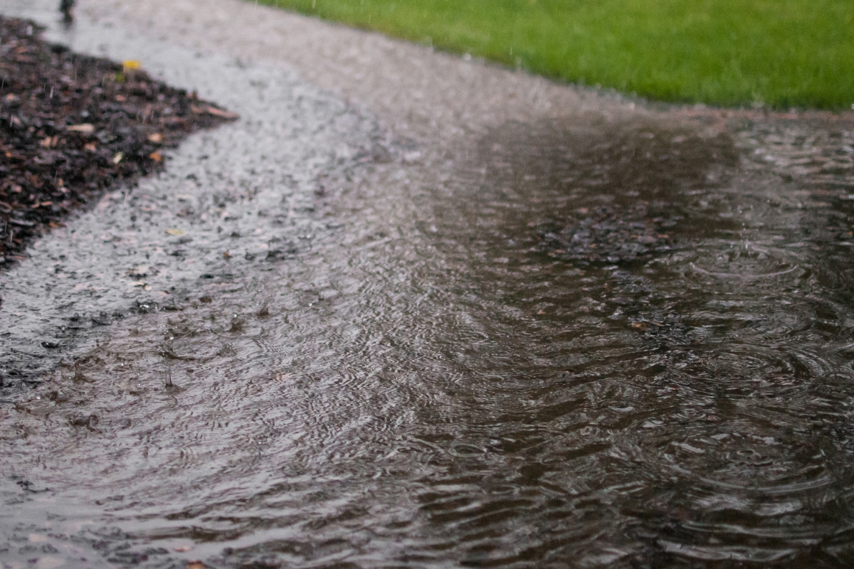 Water pooling in the front yard due to high groundwater levels, causing foundation erosion in Ocala, FL.