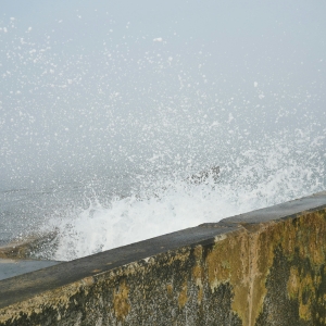 Water pressure buildup behind a seawall, causing standing water behind the seawall in Palm Coast, FL shorelines.
