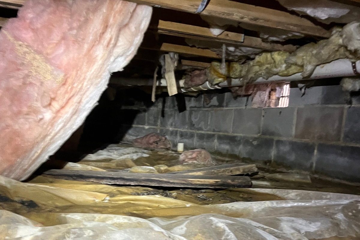 Damp crawl space with musty odors from moisture buildup, a sign of excessive rainfall damage in Palm Coast, FL.