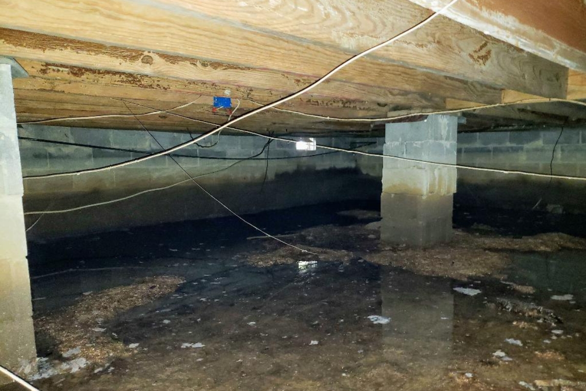 Standing water in a crawl space from poor drainage creates moisture that damages floor joists in St. Johns, FL.