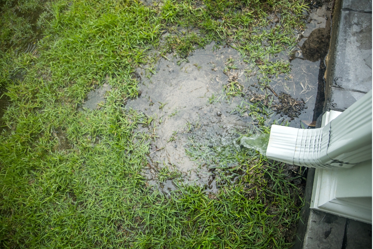 Short downspout dumping water at the home’s base, causing soil saturation and poor foundation drainage in St Augustine, FL.