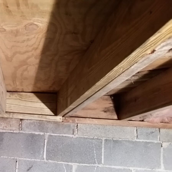Reinforced floor joists added beside damaged beams to strengthen flooring, a crawlspace solution in Crescent City, FL.