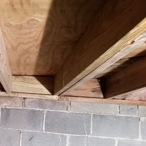 New sister joists installed alongside damaged floor joists to restore strength and stabilize sagging floors in Orange Park, FL.