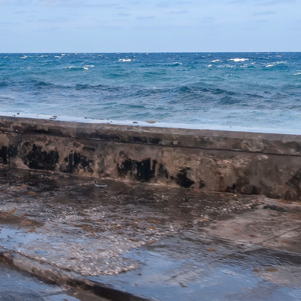 Water pooling behind a seawall in Northern Florida, showing signs of trapped moisture and soil washout weakening the seawall structure.