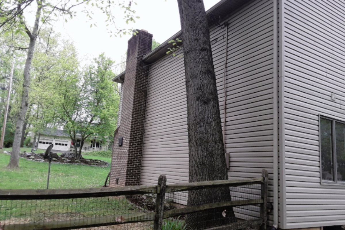 Large tree close to a home, showing how root growth can lead to soil settlement in St Augustine, FL, home foundations.