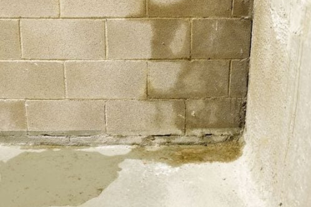 Damp spots forming on concrete walls caused by moisture seeping, a sign of excessive rainfall damage in Gainesville, FL.