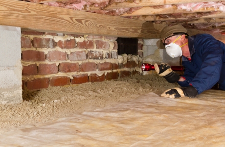 Technician inspecting mold growth from crawl space wall for the mold removal, a crawl space repair solution in Jacksonville, FL.