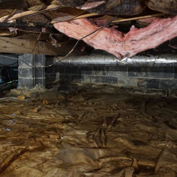 Exposed soil and damp crawl space conditions show moisture factors that cause crawl space problems in Jacksonville, FL.