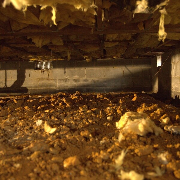 Dirt crawl space with exposed soil and damp insulation, showing moisture issues that need sealing and control in Jacksonville, FL.