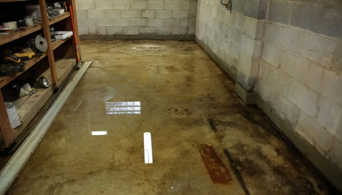 Standing water inside a basement after heavy rain, showing a waterproofing problem affecting lower-level spaces in Jacksonville, FL.