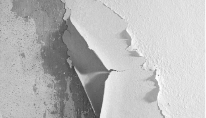 Peeling paint on interior wall in Palm Coast, FL , due to trapped moisture, a sign of water issues.