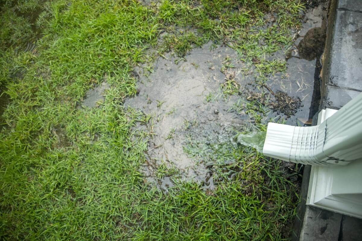Water pooling beside a patio slab from poor drainage, letting moisture seep into the concrete and cause water damage in Ocala, FL.